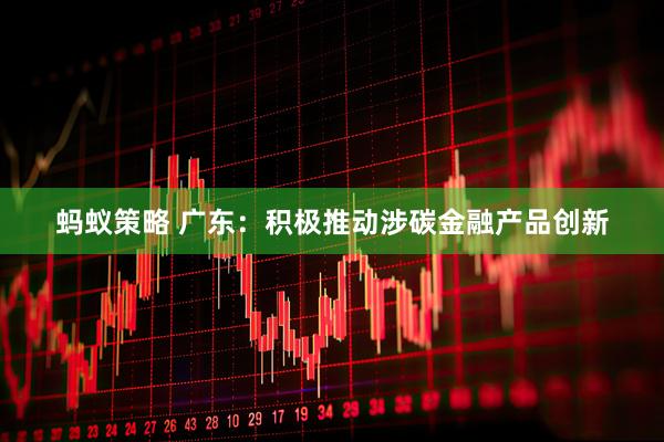 蚂蚁策略 广东：积极推动涉碳金融产品创新