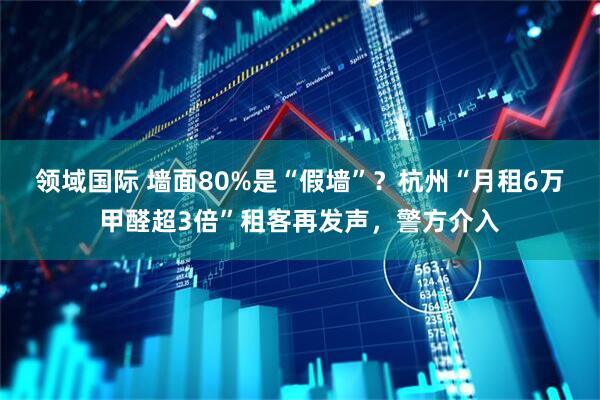 领域国际 墙面80%是“假墙”？杭州“月租6万甲醛超3倍”租客再发声，警方介入
