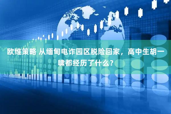 欧维策略 从缅甸电诈园区脱险回家，高中生胡一啸都经历了什么？