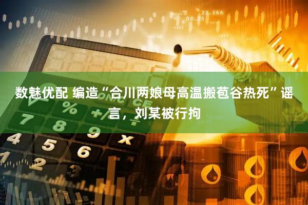 数魅优配 编造“合川两娘母高温搬苞谷热死”谣言，刘某被行拘