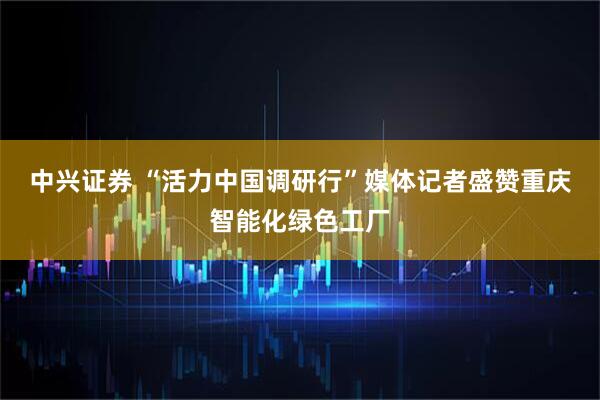 中兴证券 “活力中国调研行”媒体记者盛赞重庆智能化绿色工厂