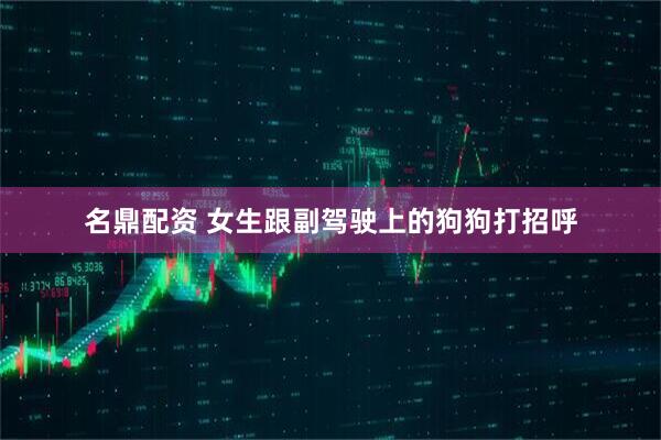 名鼎配资 女生跟副驾驶上的狗狗打招呼