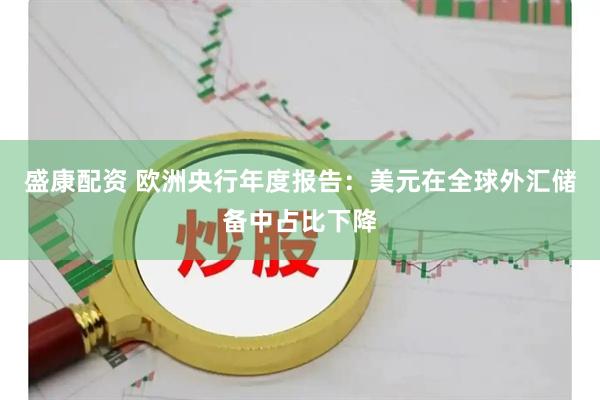 盛康配资 欧洲央行年度报告：美元在全球外汇储备中占比下降